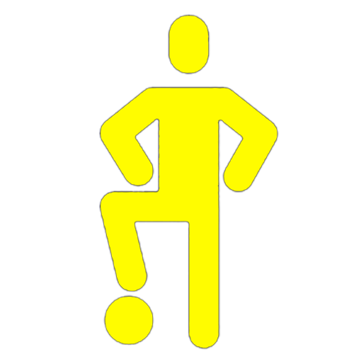 ICONE 1